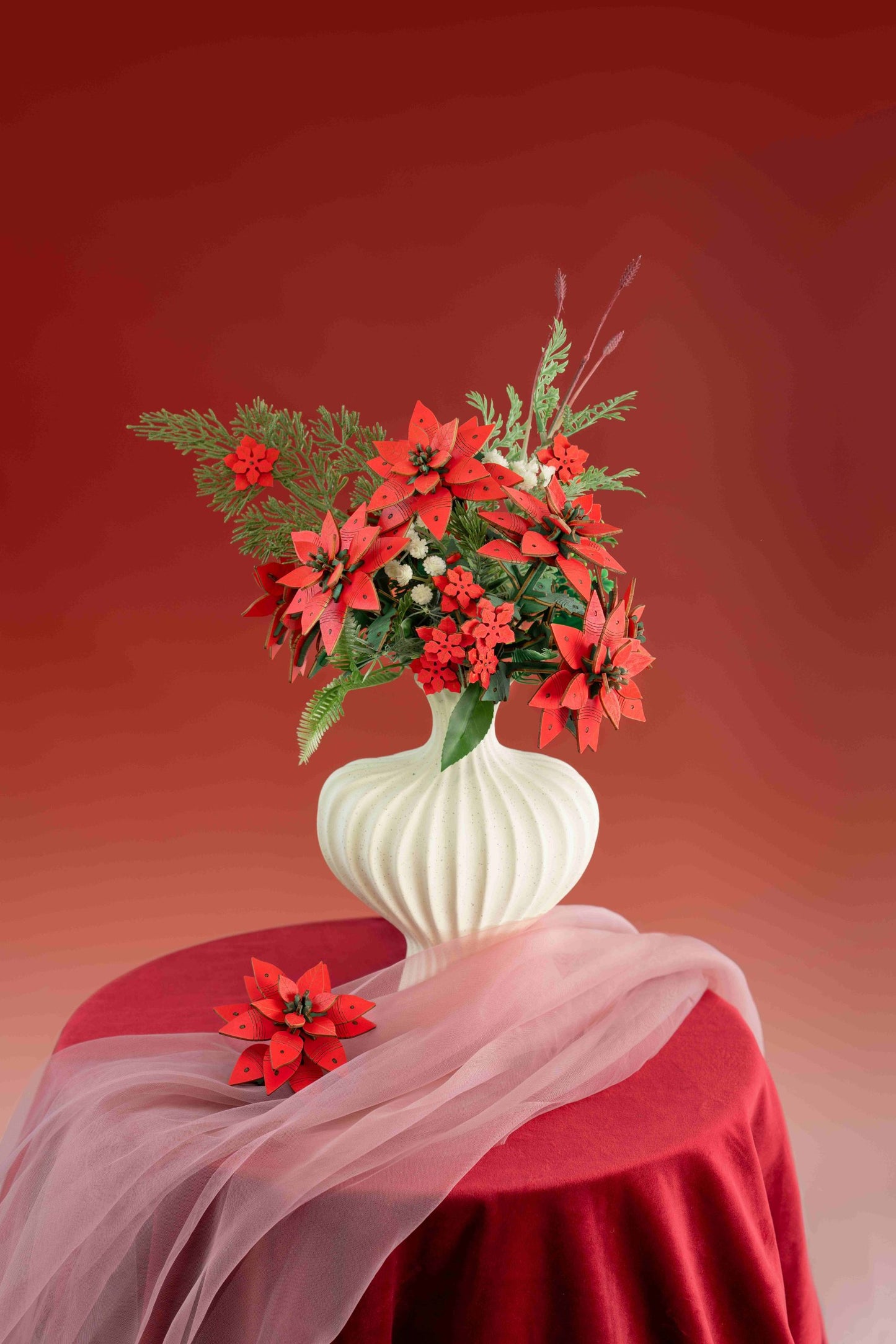 Poinsettia