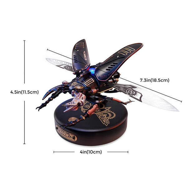 Stag Beetle