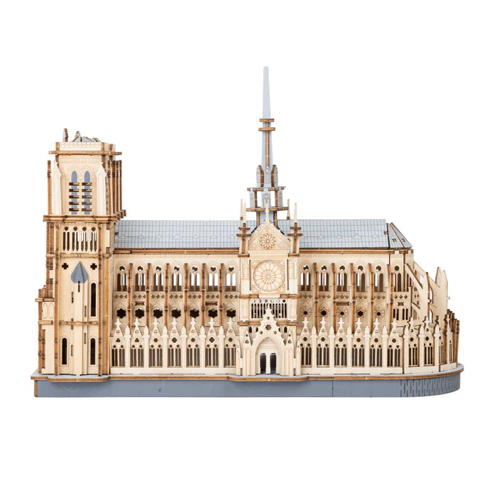 Paris Cathedral