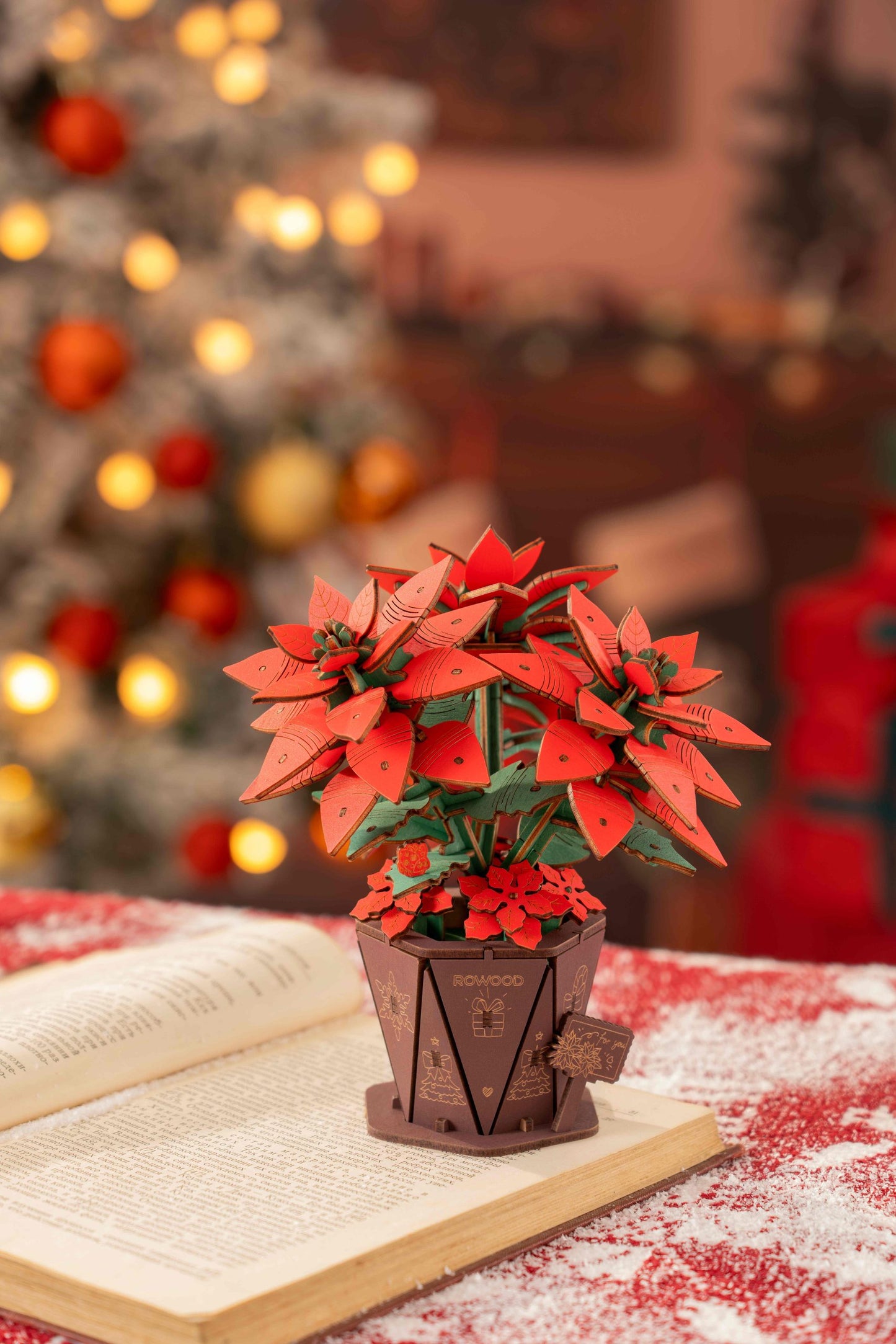 Poinsettia