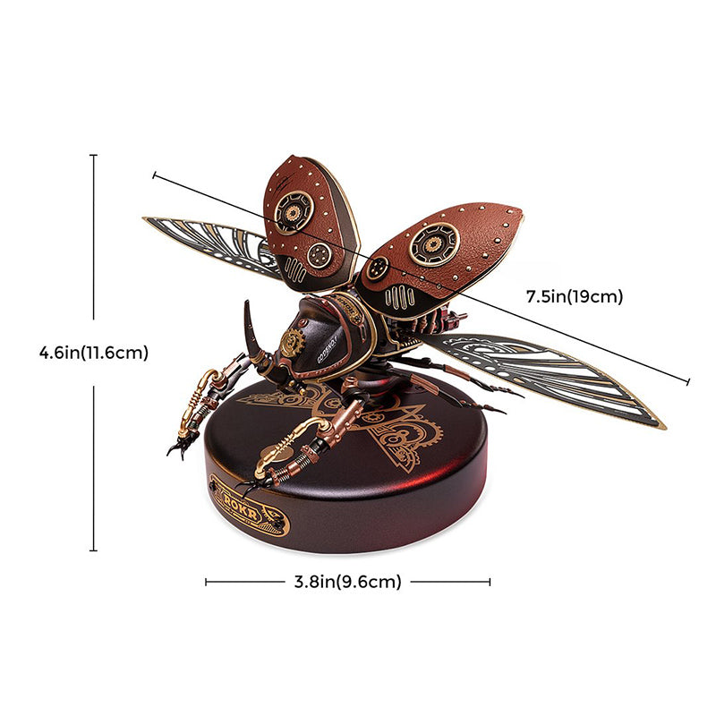 Rhinoceros Beetle