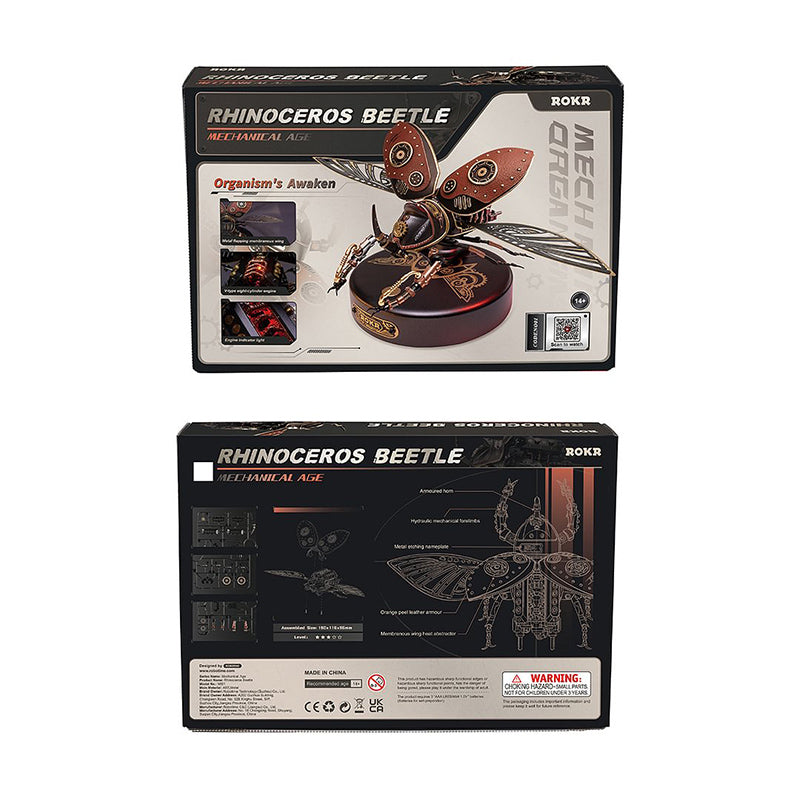 Rhinoceros Beetle