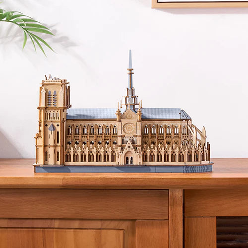 Paris Cathedral