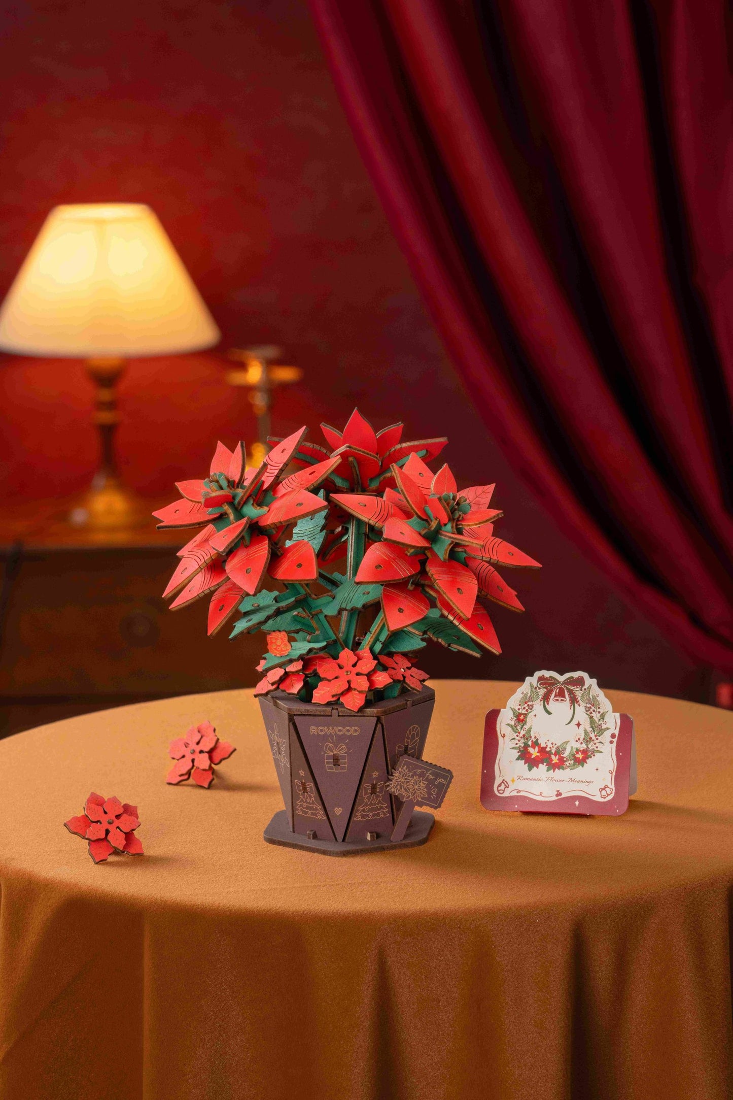 Poinsettia