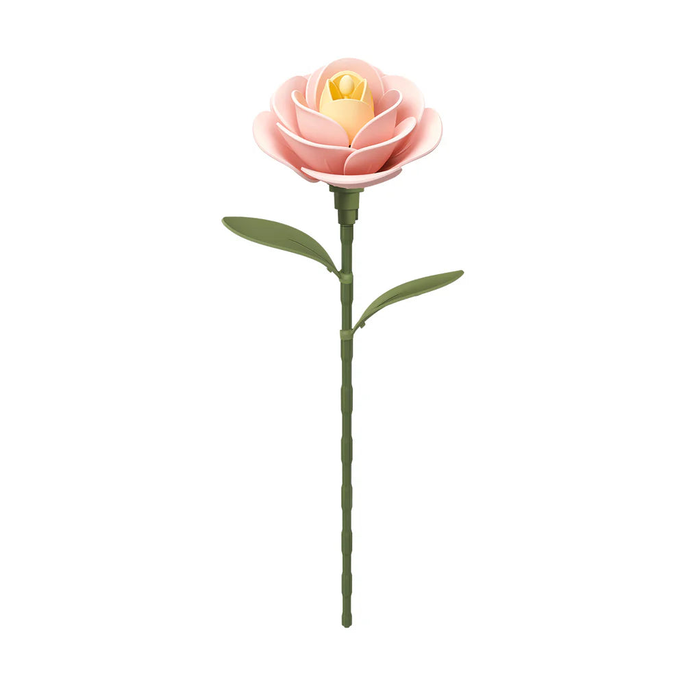 Light Pink Camellia