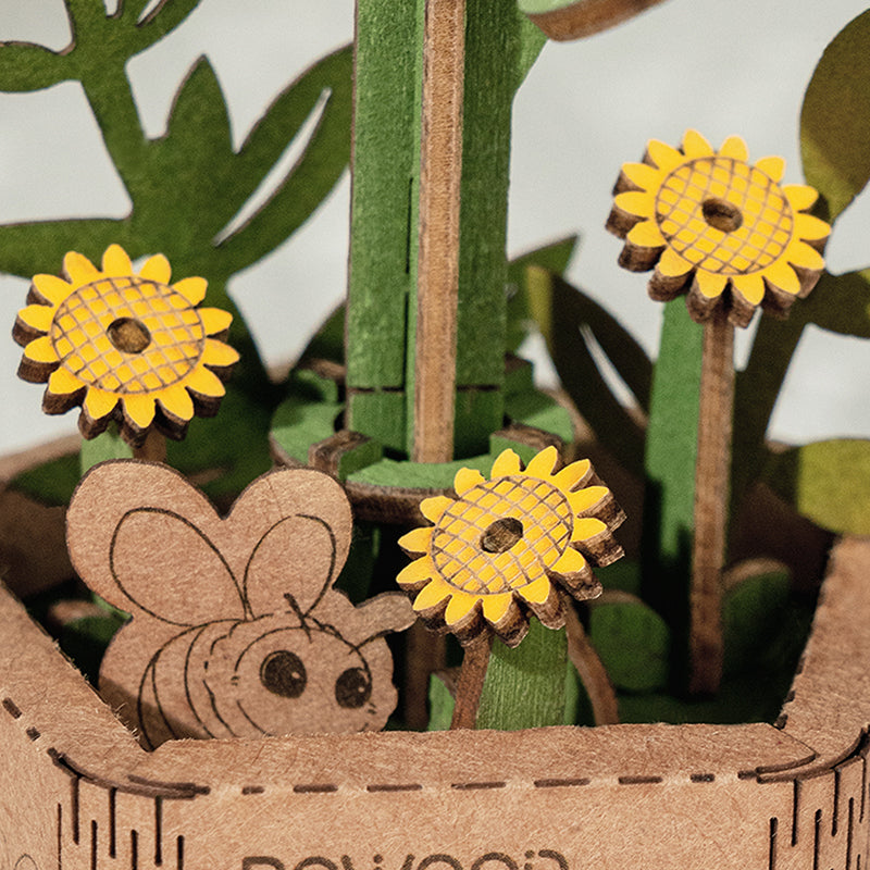 Sunflower