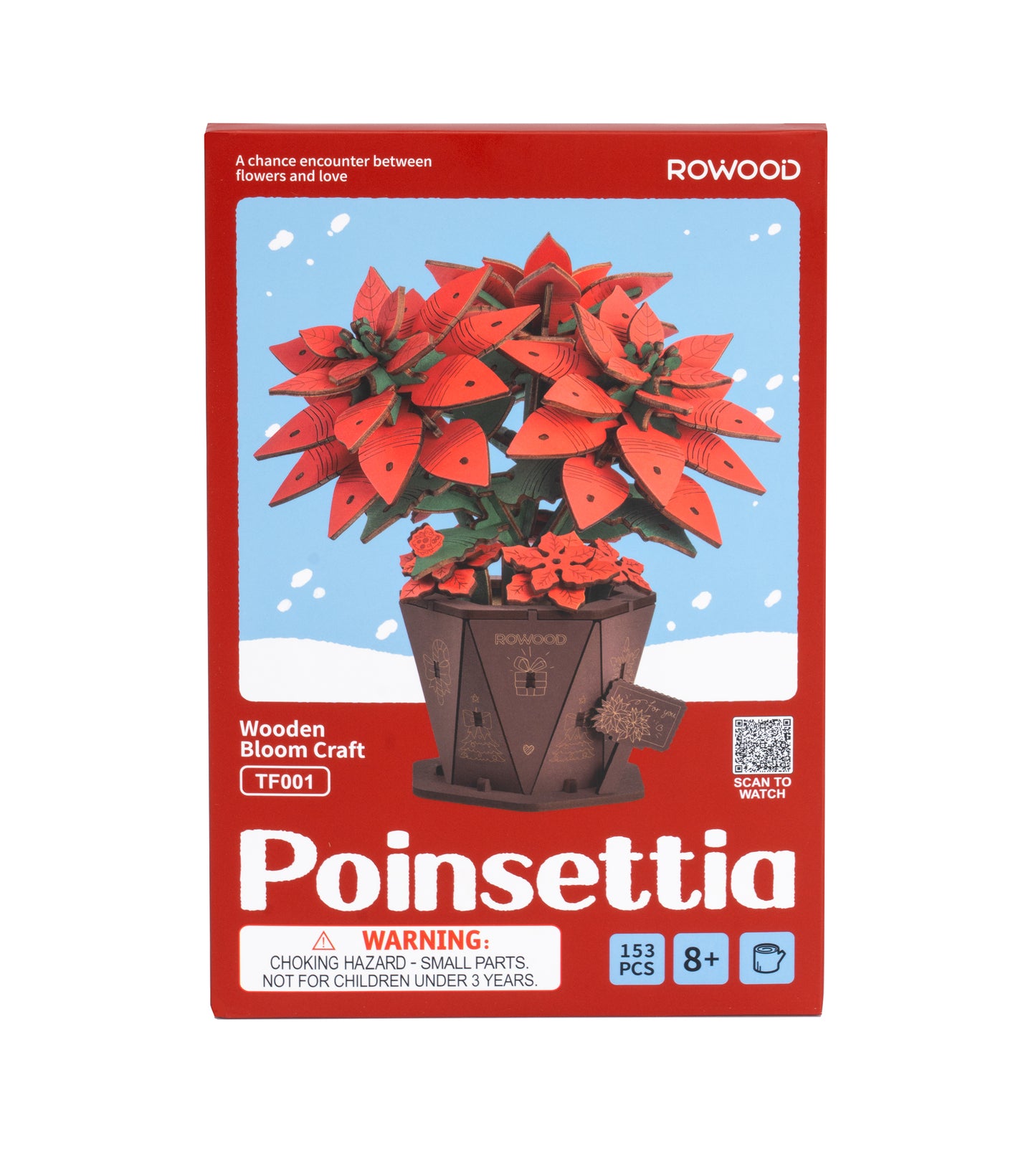Poinsettia