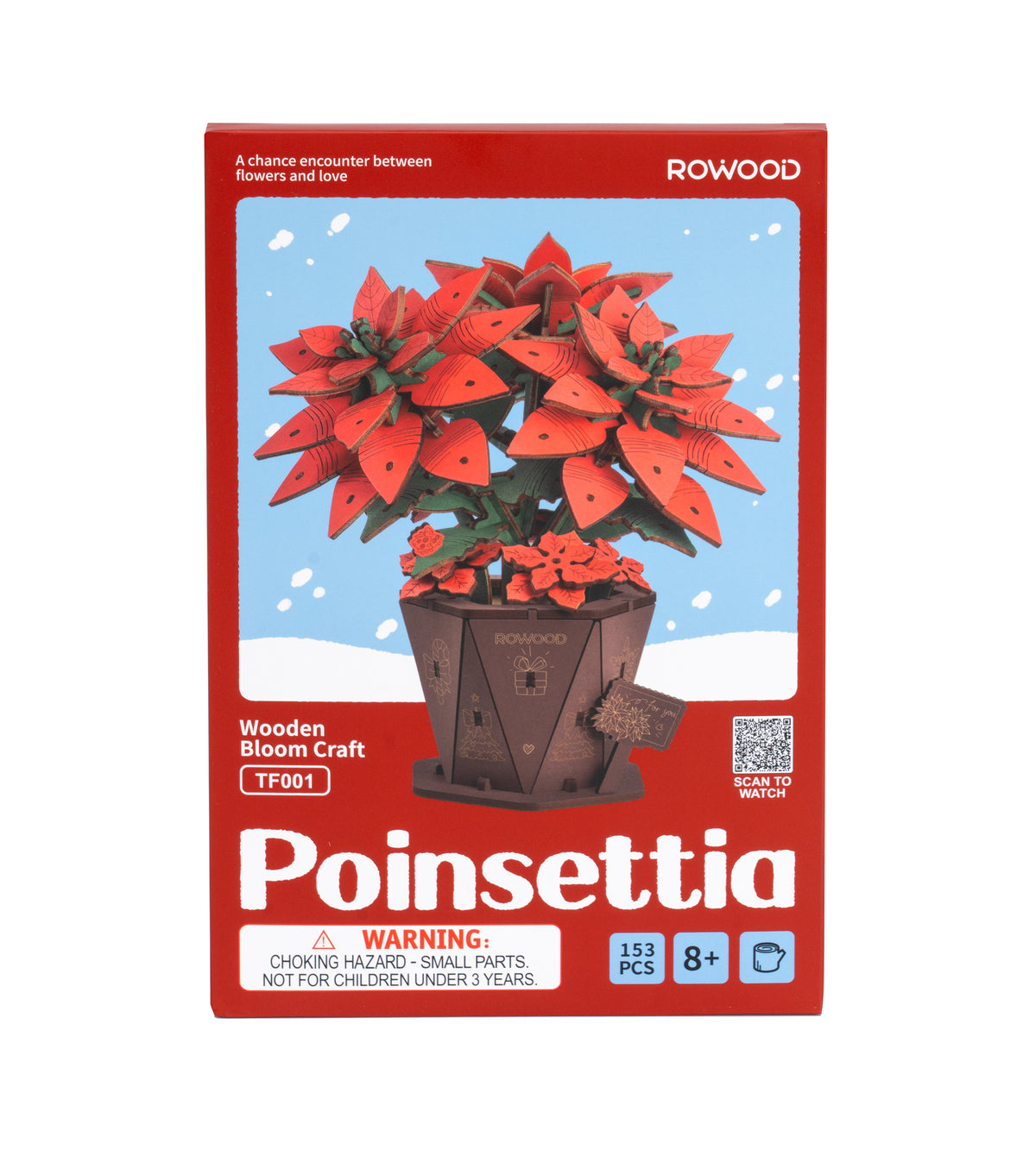 Poinsettia