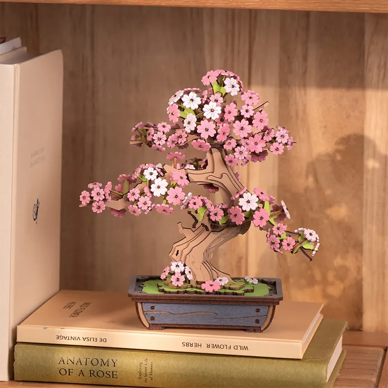 Sakura Bonsai