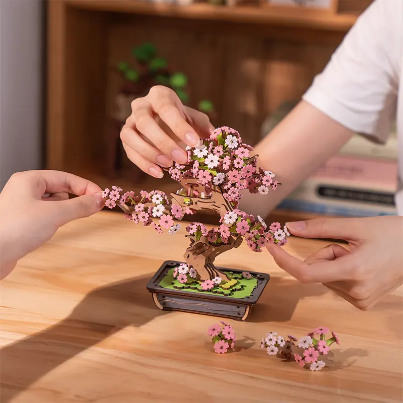 Sakura Bonsai