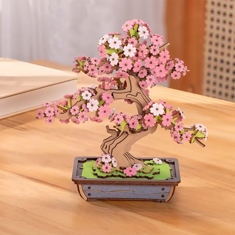 Sakura Bonsai