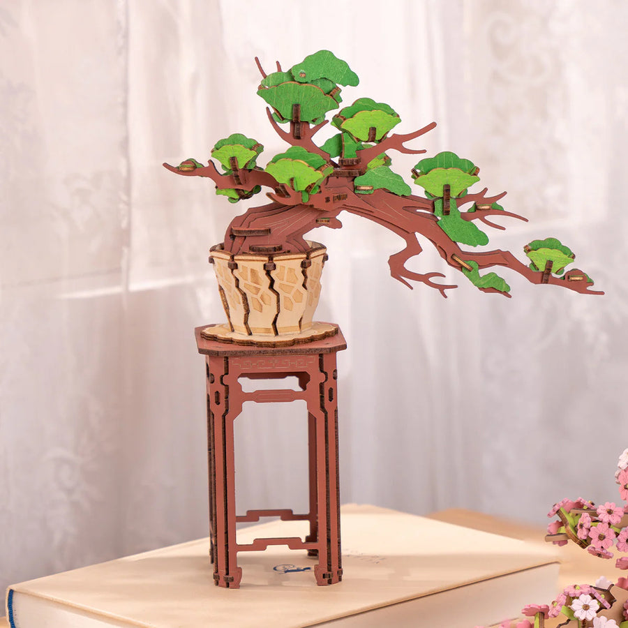 Evergreen Pine Bonsai