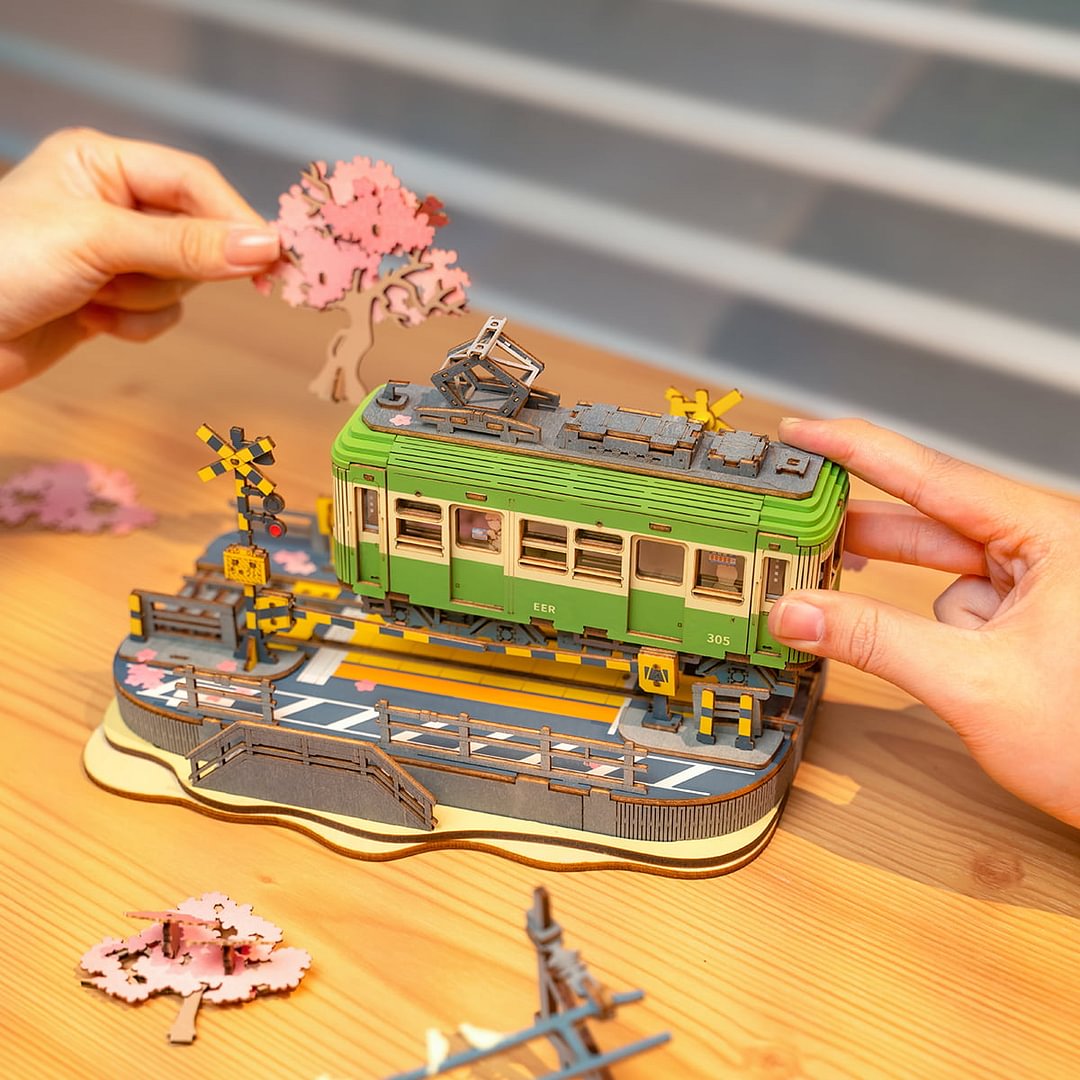 Sakura Journey