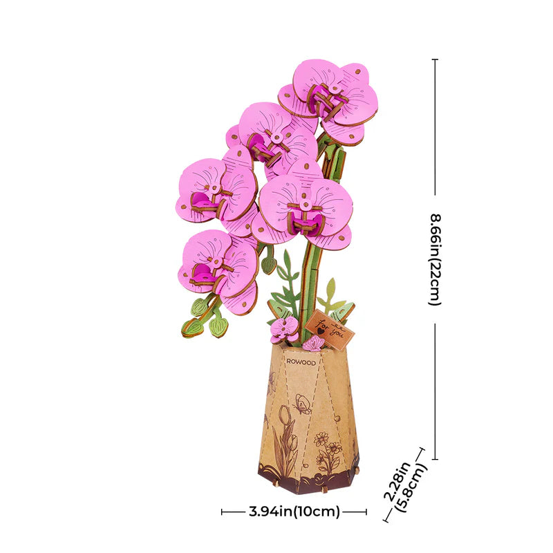 Purple Moth Orchid