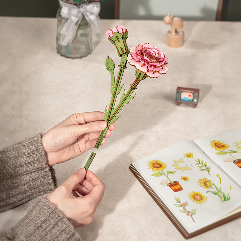 Pink Carnation