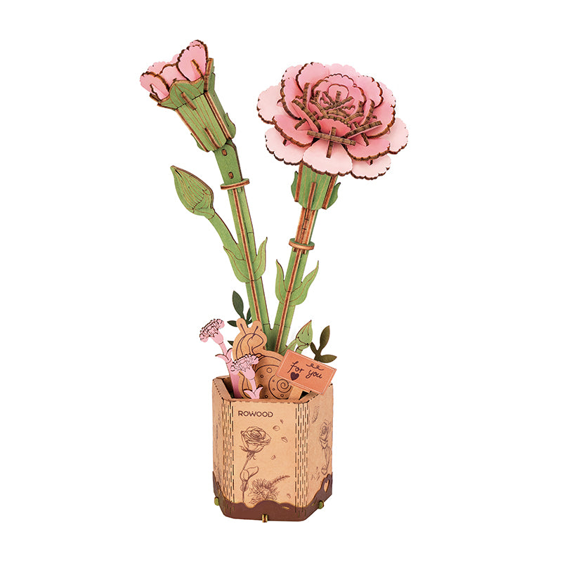Pink Carnation