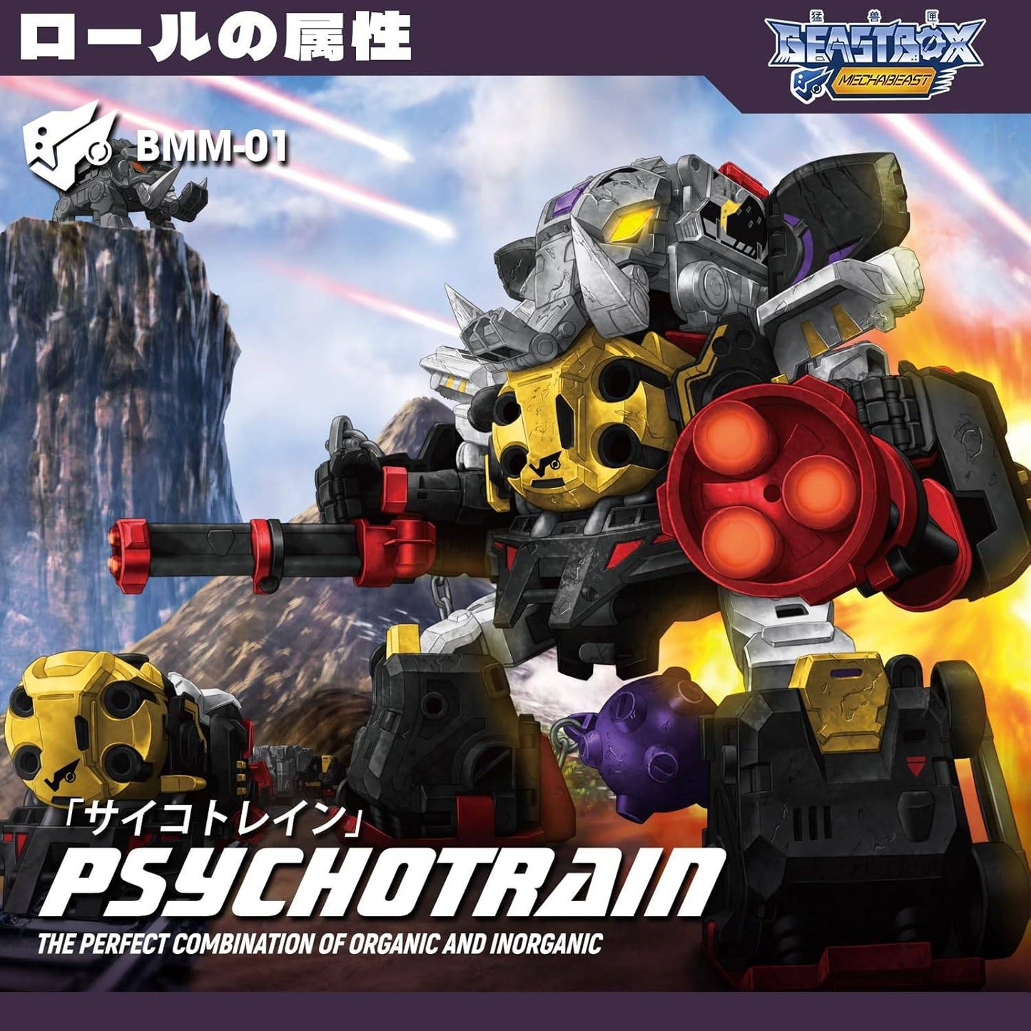 Psychotrain