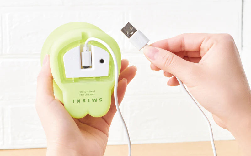 SMISKI Touch Light