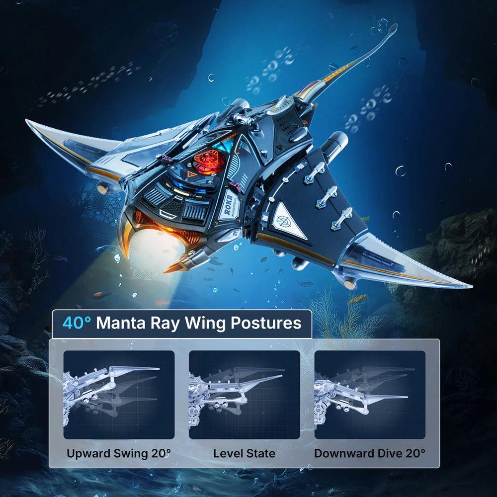 Manta Ray